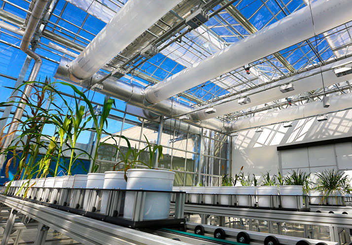 Innovation Campus greenhouse