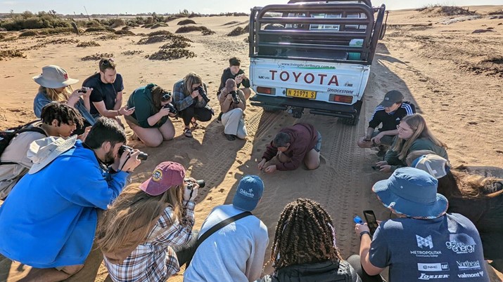 Huskers on a study abroad experience in Namibia gather round to study a shade-seeking, web-footed palmetto gecko