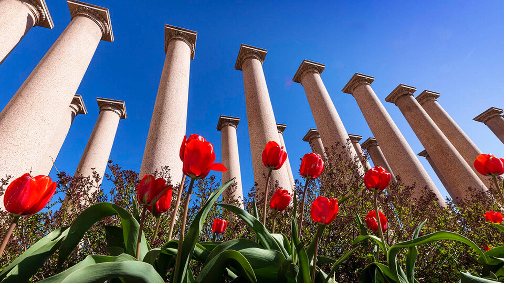 Columns at Nebraska campus.