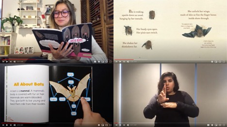 A video clip of people reading about bats in different languages.