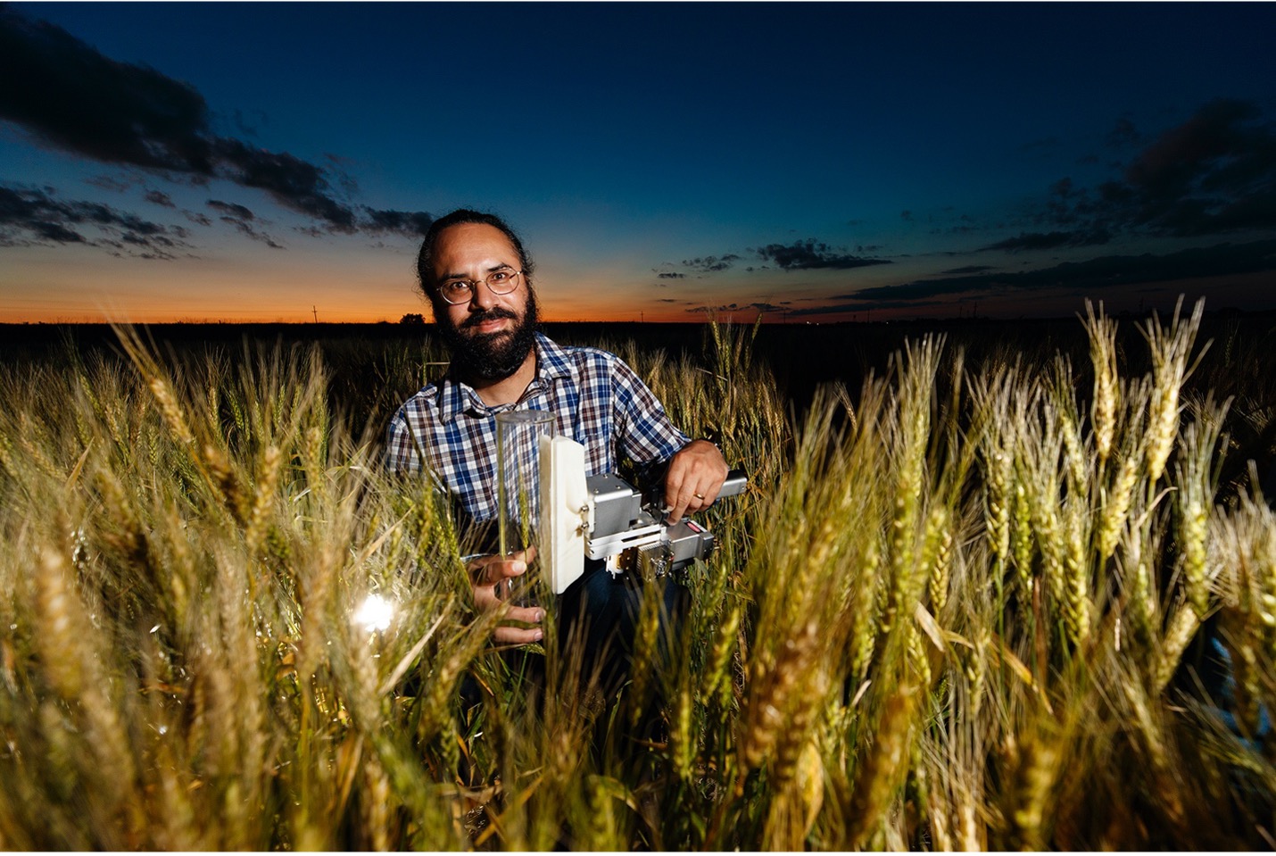 Nebraska’s Harkamal Walia and colleagues have described a novel form of a gene obtained from wild wheat that has the potential to improve drought tolerance in cultivated wheat