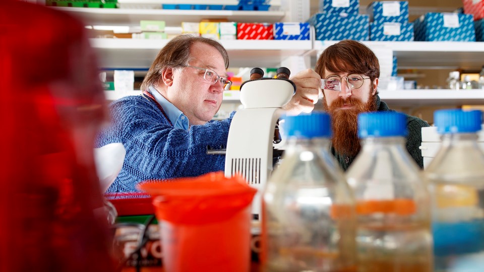 Peter Angeletti, associate professor of biological sciences, and Cameron Klein, graduate student in virology, have discovered a link between the cervical microbiome and whether women develop pre-cancerous lesions.