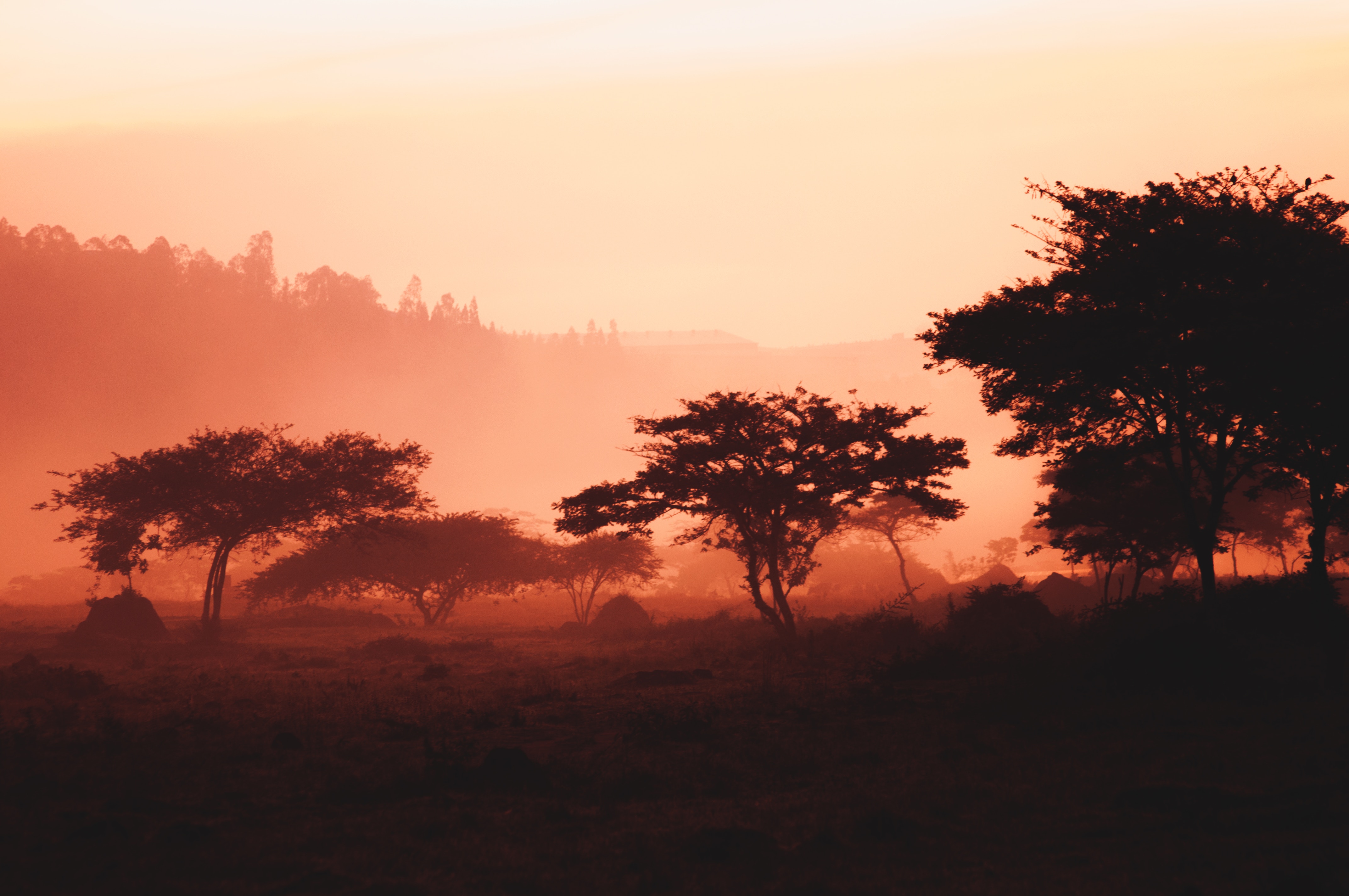 Sunrise on the Sahara in Kigali, Rwanda. Credit to Maxime Niyomwungeri.