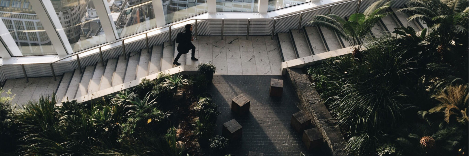 student on steps surrounded by outdoor plants