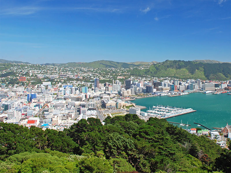 wellington