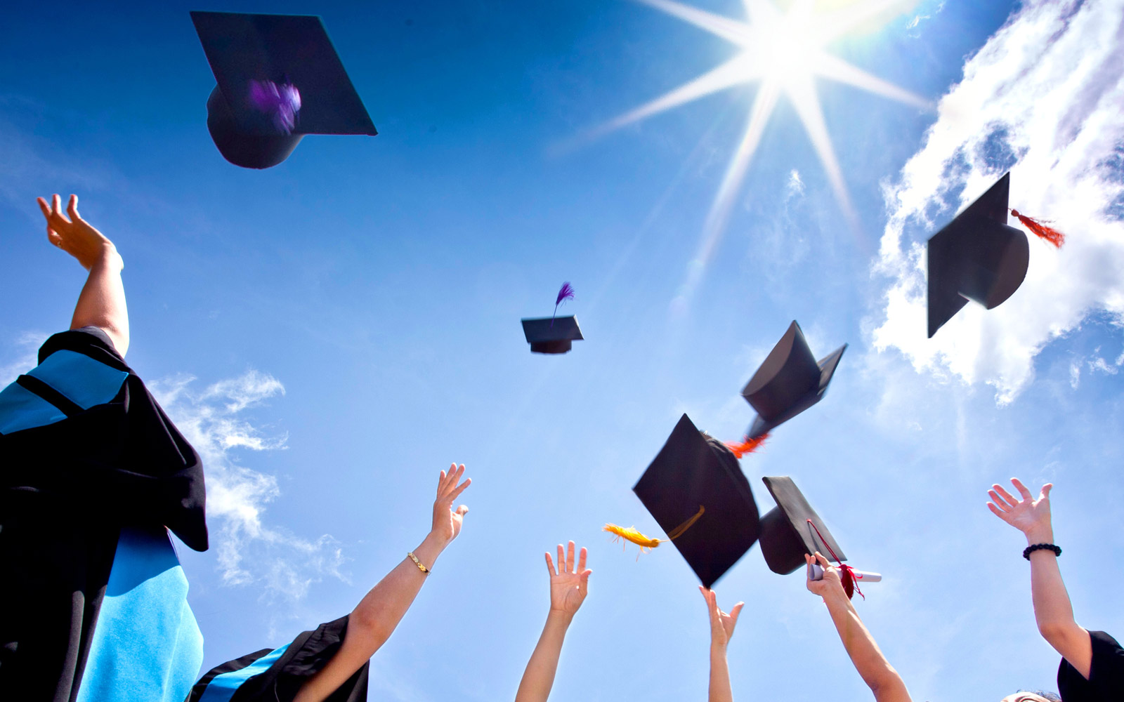 graduation caps in the air