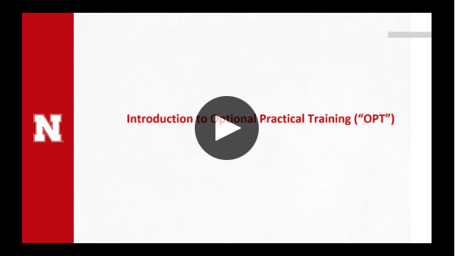 thumbnail image for Introduction to Optional Practical Training (OPT)