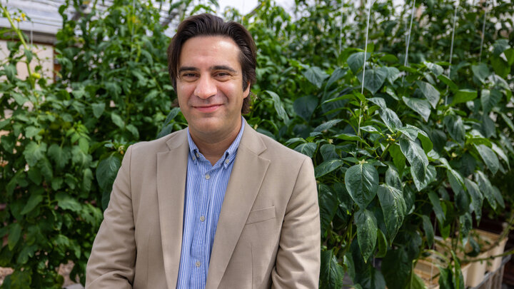 Patricio Grassini, professor of agronomy and horticulture, stands in front of lush green plants.