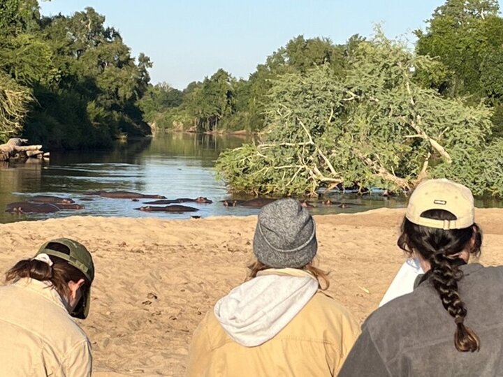 Three people observe hippos in a river surrounded by lush greenery on a sunny day