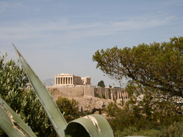 A view of the acropolis through a plant