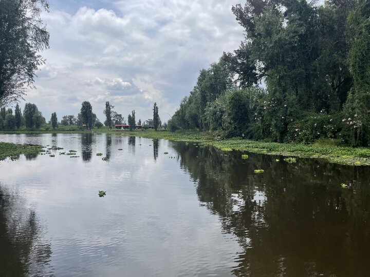 Calm river reflecting trees and sky, surrounded by lush greenery under a partly cloudy sky.