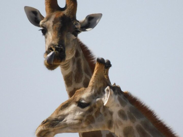 Namibia