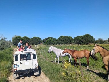 students in van driving through pasture with horses