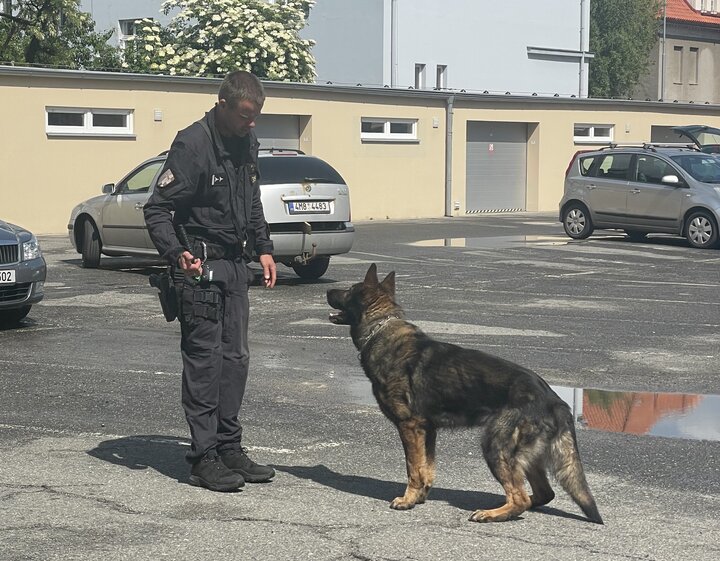Man in uniform training a German Shepherd in a parking lot on a sunny day.