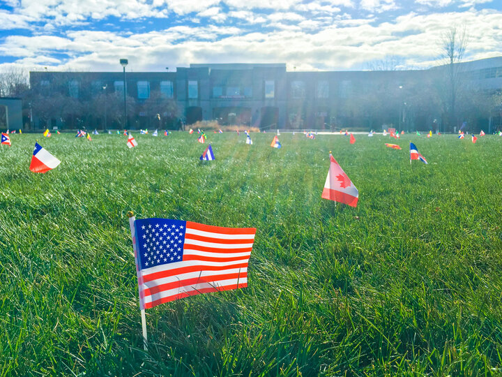 Flags on greenspace