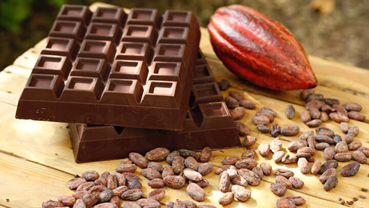 Puentespina farms malagas chocolate